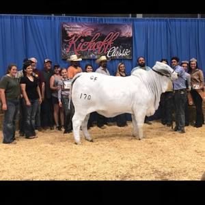 Meet your Posher, Cash